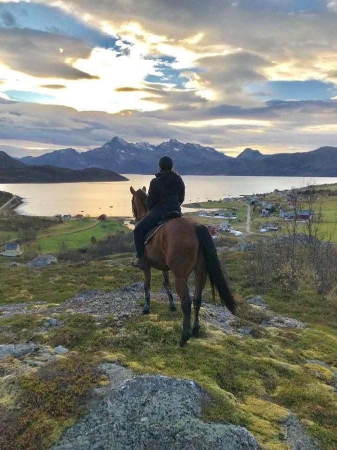 Storjord Farmstay Ranchhouse Kvaloya Exterior photo
