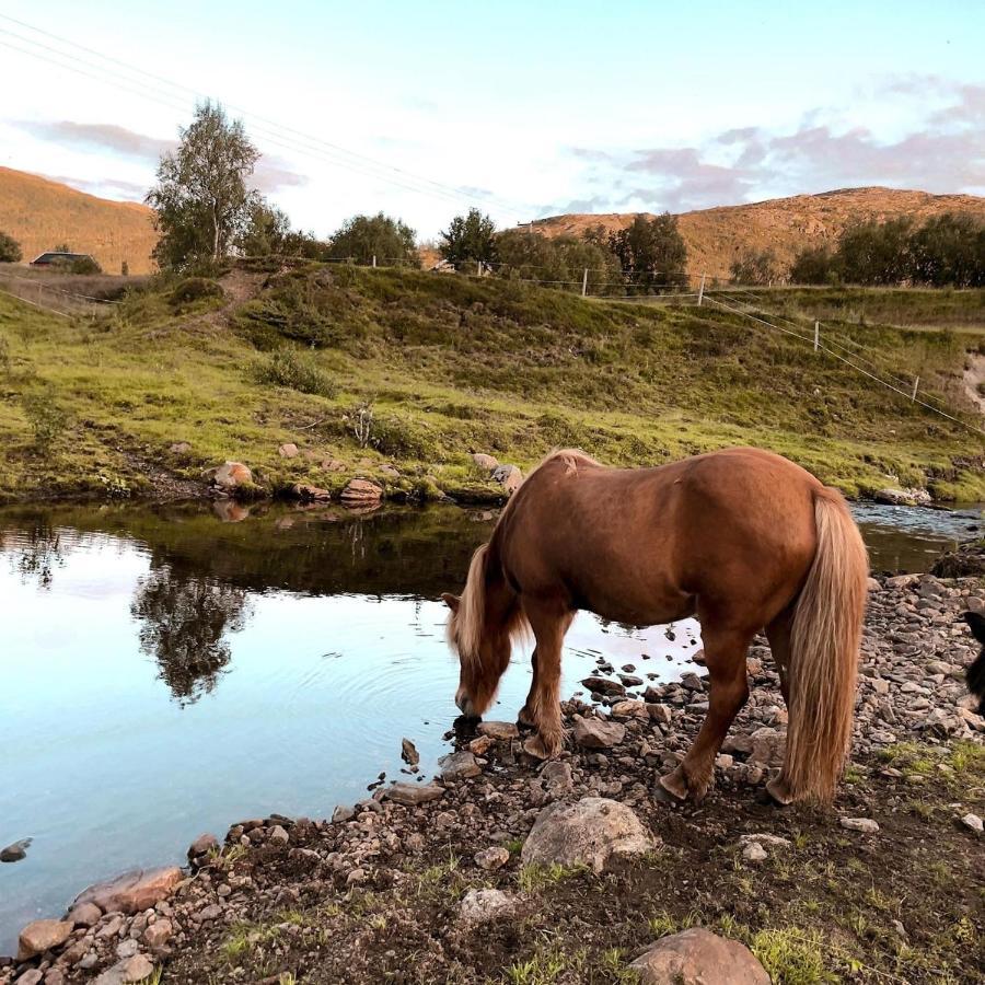 Storjord Farmstay Ranchhouse Kvaloya Exterior photo